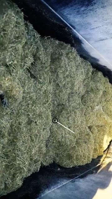 Смеситель-кормораздатчик Çelikel смотреть онлайн