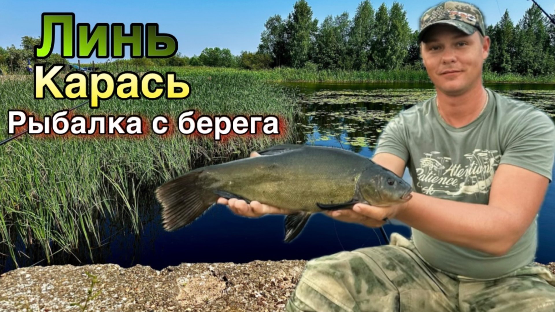 Ловим Крупного Линя и Карася с берега на Ладоге смотреть онлайн