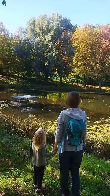 красота вокруг