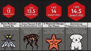 Вы Точно Не Знали Этого О Животных!