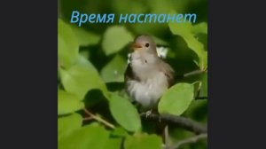 Время настанет