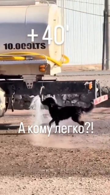 Жара! 🙂 смотреть онлайн