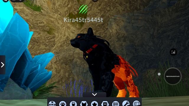 Коты воители