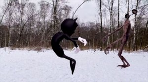 каркунтет и сиреноголовый мультик