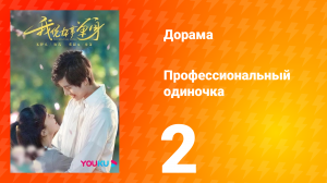 Профессиональный одиночка 1 сезон 2 серия