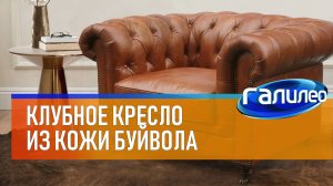 Галилео | Клубное кресло из кожи буйвола