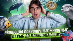 Эволюция позвоночных животных: от рыб до млекопитающих I ВПР по биологии I Умскул
