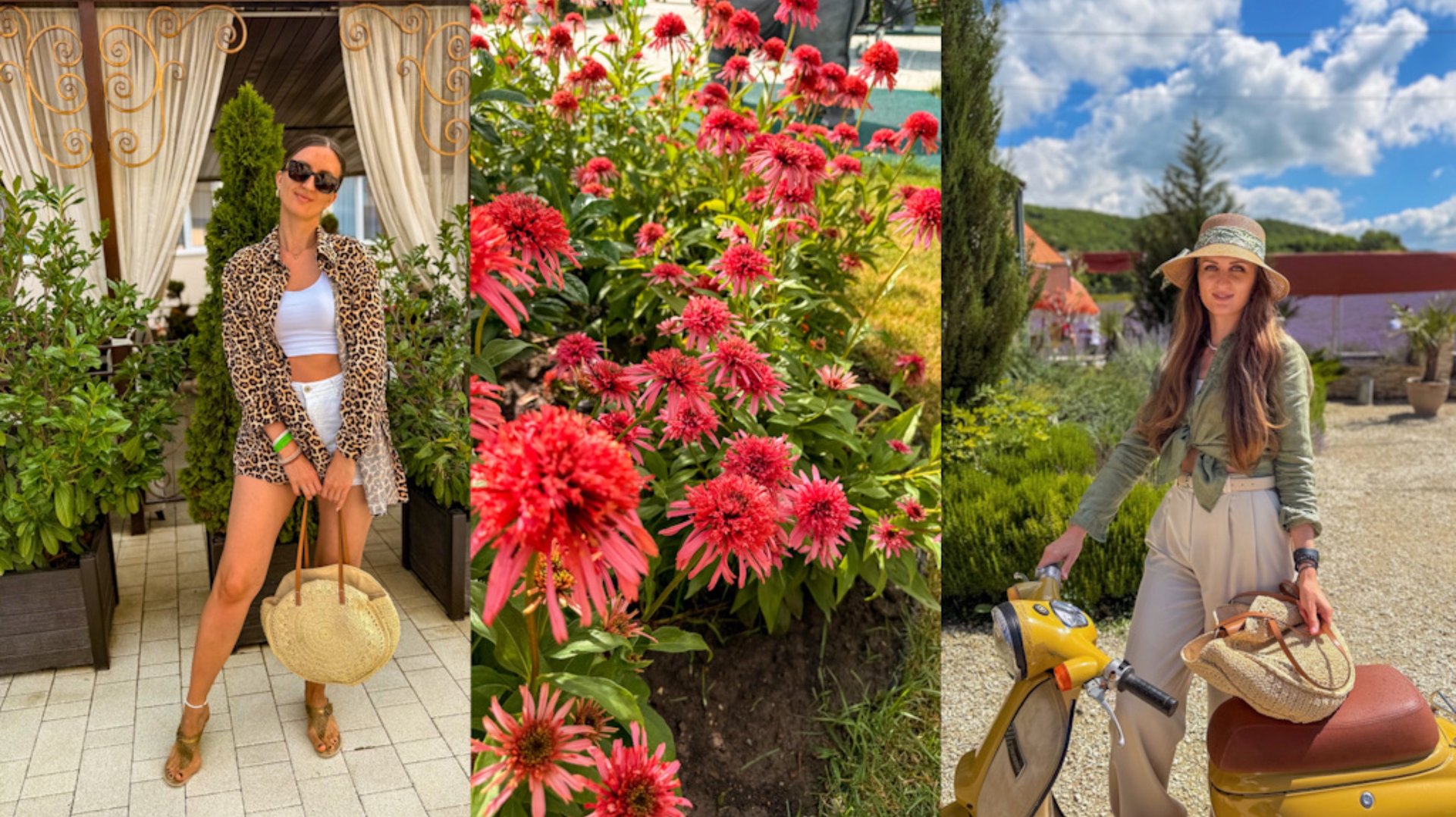 VLOG # 32 Июль 2025 Отель Democratia **** Сукко Большой Утриш Лавандовая ферма