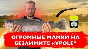 #12 ЛОВИЛ ФОРЕЛЬ ,А ПОЙМАЛ ЕГО! РЫБАЛКА НА ПЛАТНИКЕ “VPOLE”. ЧЕРНЫЙ ЦВЕТ ЛОВИТ!