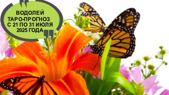 ВОДОЛЕЙ ТАРО-ПРОГНОЗ С 21 ПО 31 ИЮЛЯ 2025 ГОДА смотреть онлайн