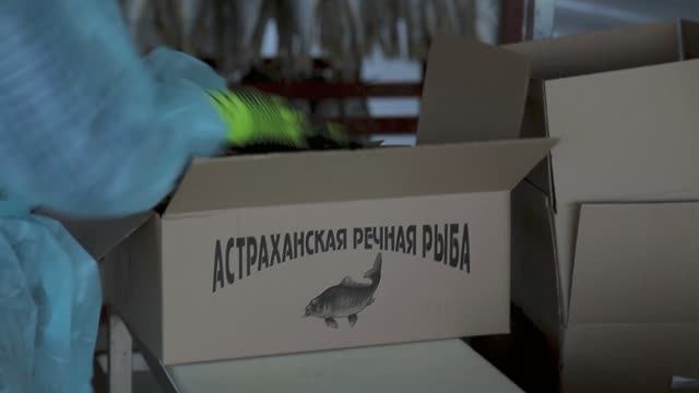 ИП Селезнева Анна смотреть онлайн