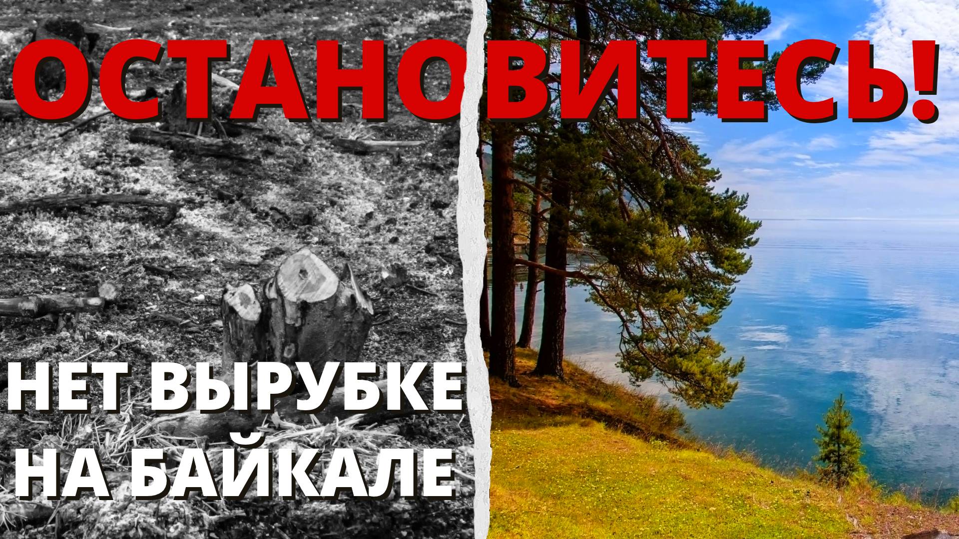 Нет вырубке на Байкале! смотреть онлайн