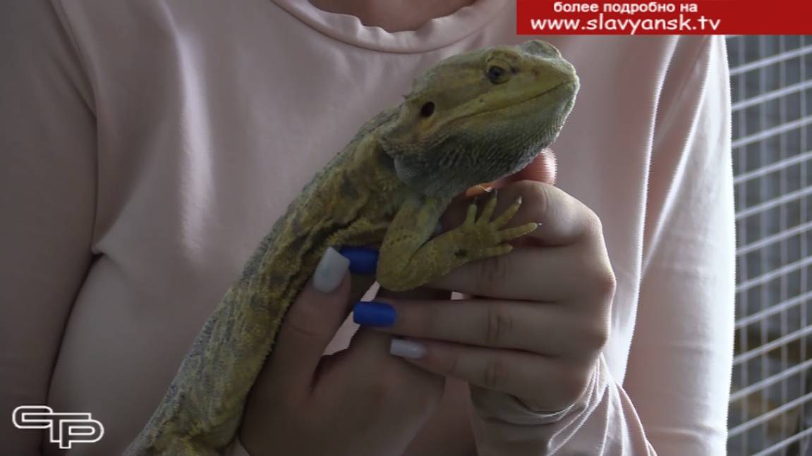 Пополняют багаж знаний смотреть онлайн