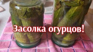 ЗАСОЛКА ОГУРЦОВ ОТ АЛЕКСАНДРОВНЫ!🥒🥒🥒