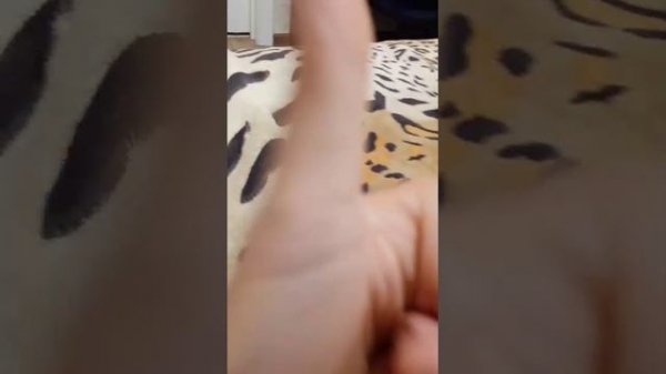 Видео про что-то