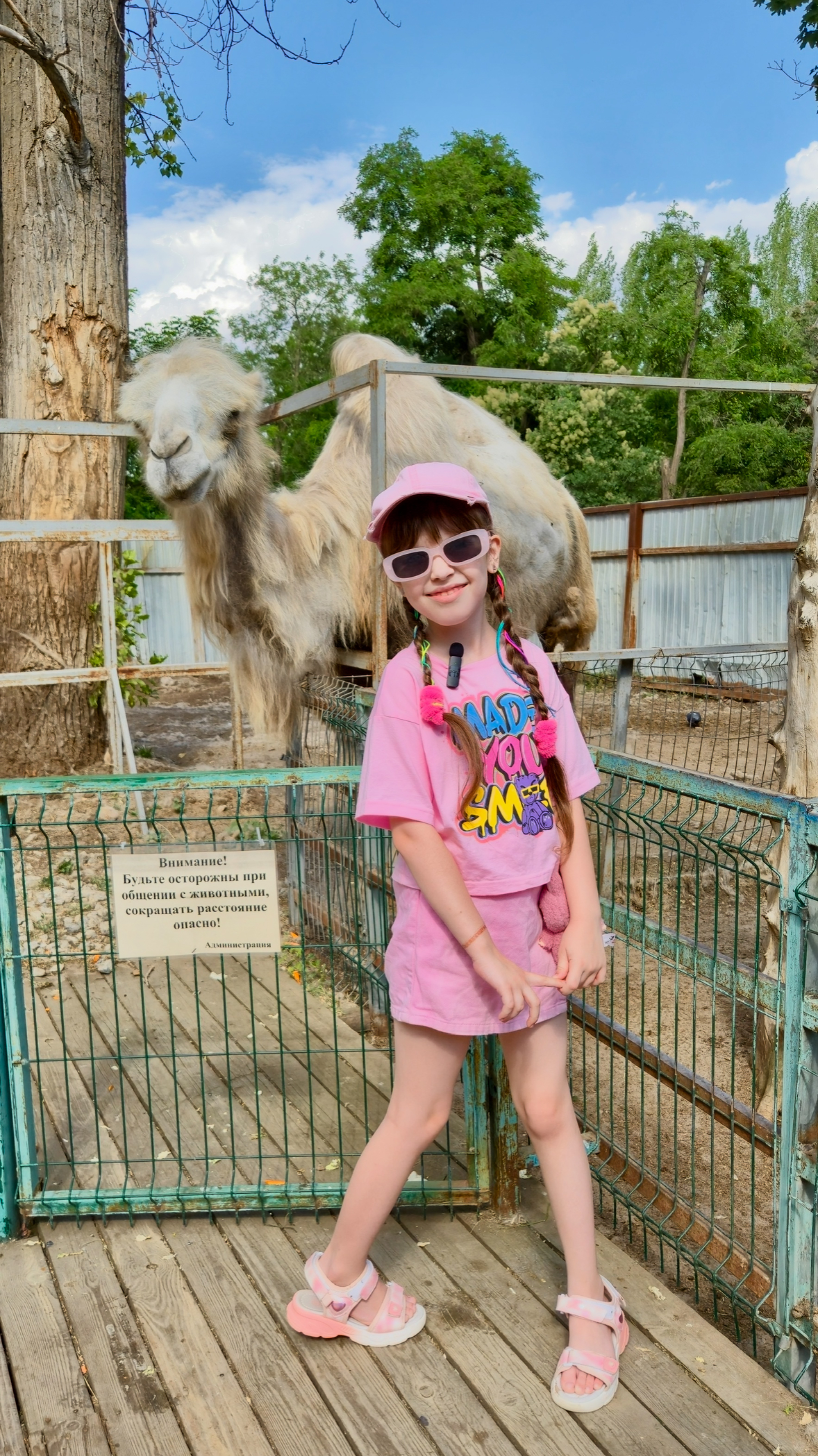 Зоодворик 🐐🐇🐪 парк Гидростроитель🎡 #зоопарк #зоодворик #гидростроитель смотреть онлайн