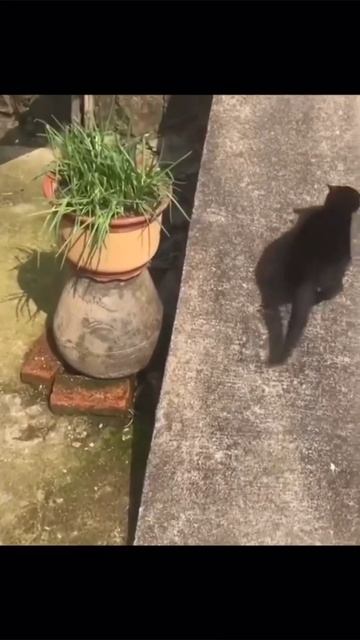 У-ииии смотреть онлайн