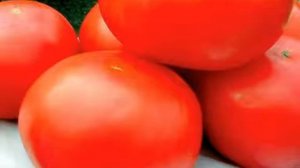 Томат Урал F1