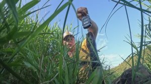 Летняя РЫБАЛКА на спиннинг. Заостровкие каналы.