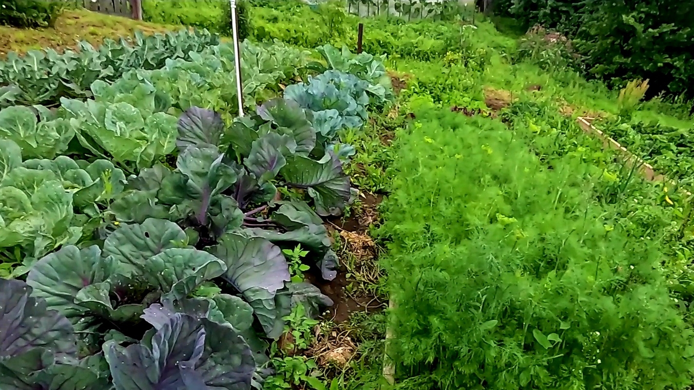 С утра в больницу с ней... Вечер не добрый пожар, ураган... смотреть онлайн
