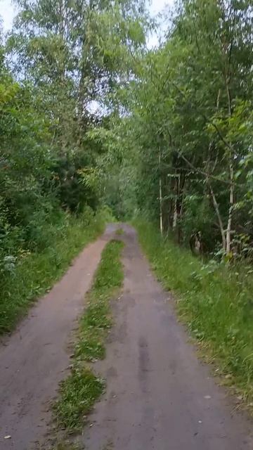 Полёт птицы. Начало путешествия. пгт.Мундыбаш