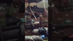 Котята в тепловом узле Kittens in a heating unit