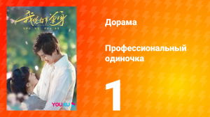 Профессиональный одиночка 1 сезон 1 серия