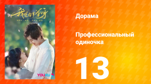 Профессиональный одиночка 1 сезон 13 серия