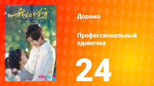 Профессиональный одиночка 1 сезон 24 серия