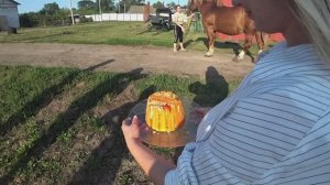 Егерь Терек и Кузбасс . День рождения у Кузбасса! Бегаем за Тереком. Гладим Егеря