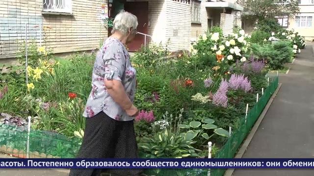 Обнинские новости (за 18 июля 2025) смотреть онлайн