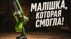 Мини-пила Greenworks G24MCS10 24V — стоит ли своих денег