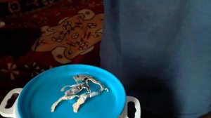 Расплавленная пачка колбасок пиколини