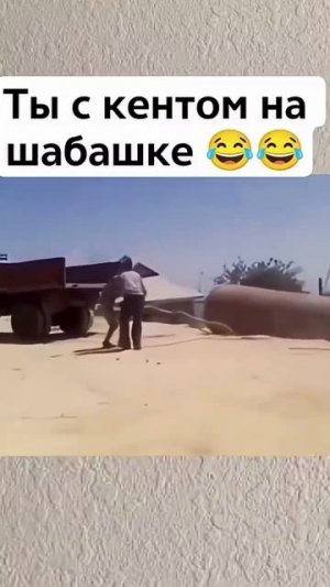 на работе 🤣🤣🤣