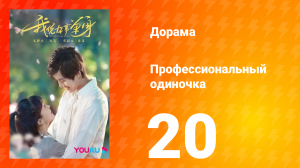 Профессиональный одиночка 1 сезон 20 серия