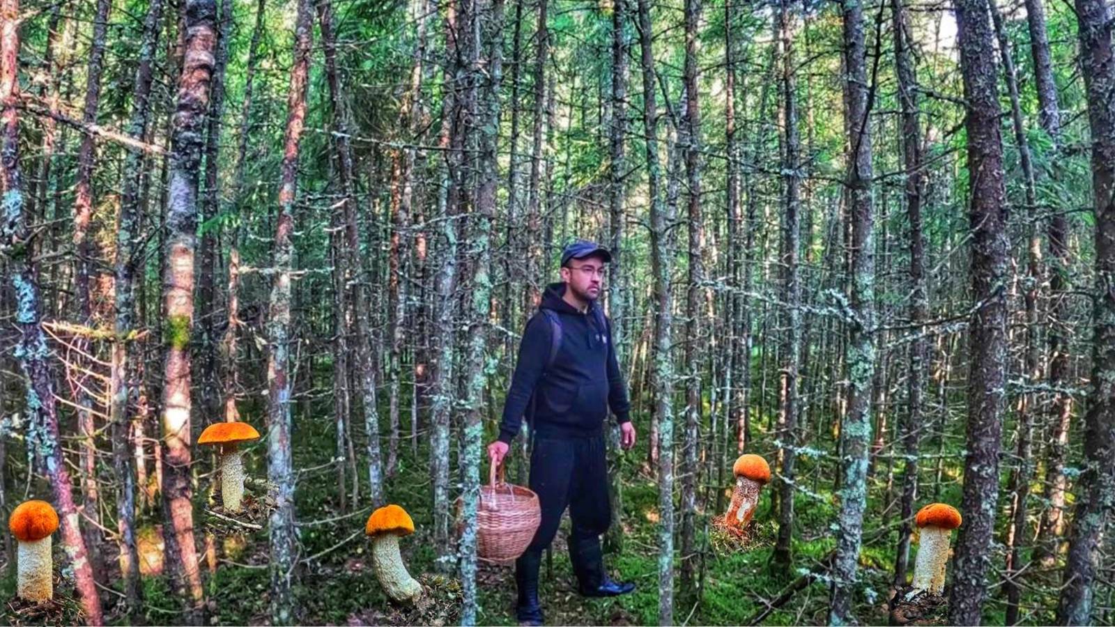 Андрей Жикурин