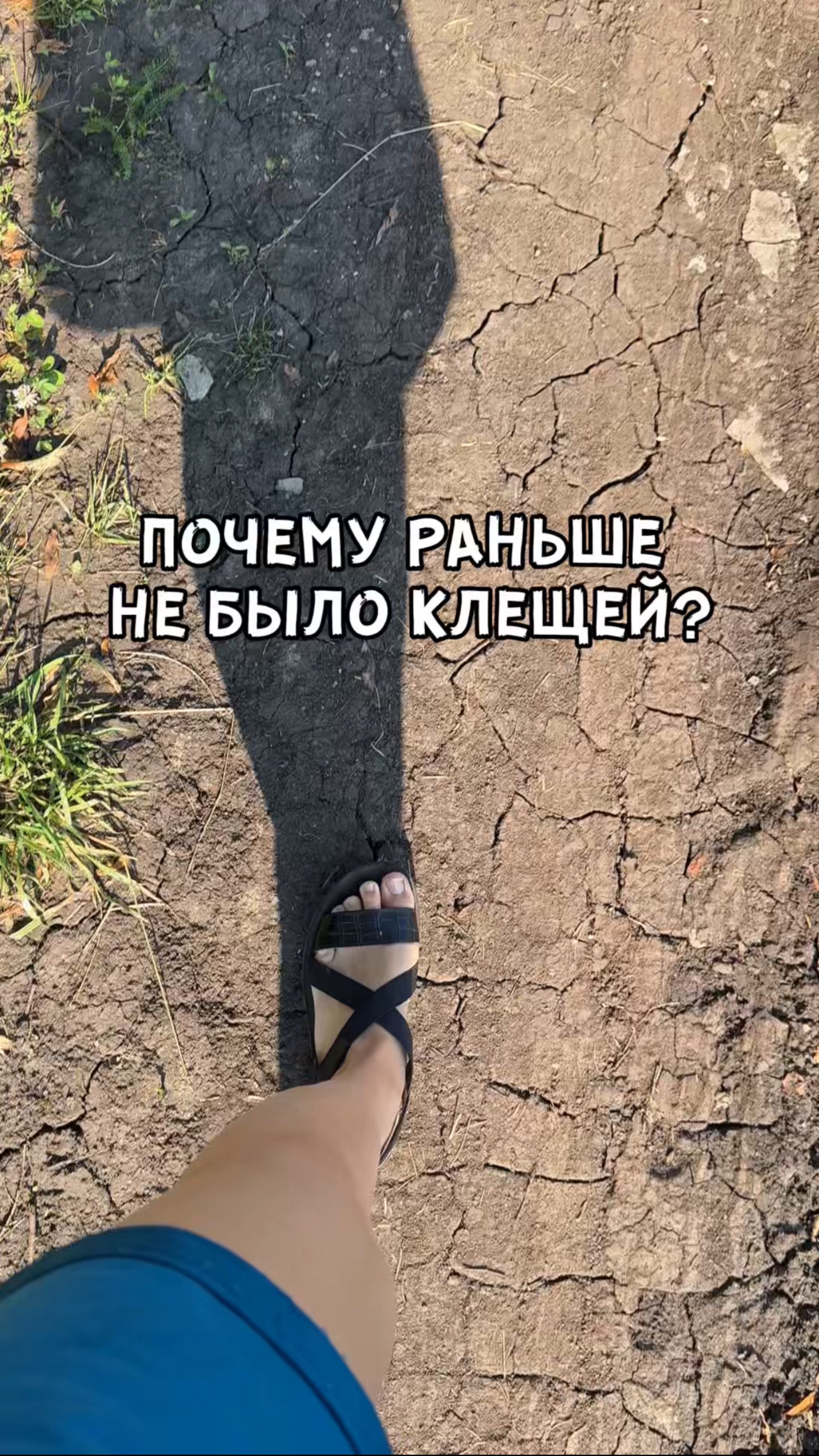 Почему раньше не было клещей?