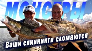 Хотели просто поймать окуней, но всё пошло не по плану