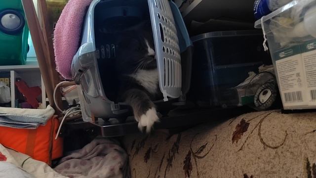 Борьба за жилплощадь.mp4