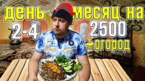 Месяц 2500 рублей на еду + огород. День 2-4.