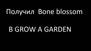 Получил Bone Blossom в grow a garden