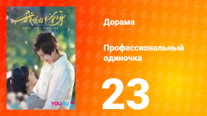 Профессиональный одиночка 1 сезон 23 серия