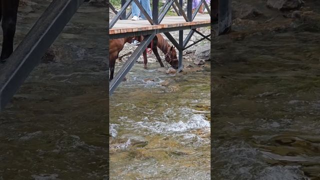 Озеро Кольсай, Алматы