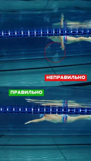 Проверьте, нет ли у вас такой ошибки в кроле☝🏼 смотреть онлайн