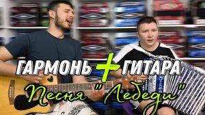"ЛЕБЕДИ" В. Агафонов. Мега дуэт гармони с гитарой! #гармонь #купитьгармонь #гармошка