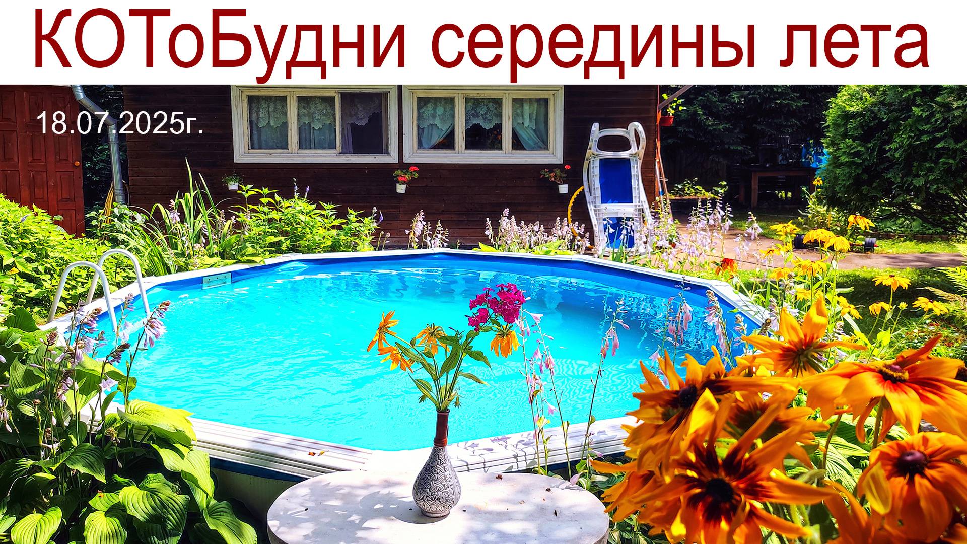Макушка лета или КОТоБудни середины июля, 2025 г. смотреть онлайн