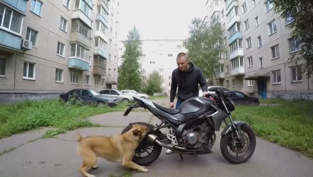 Выхлоп смотреть онлайн