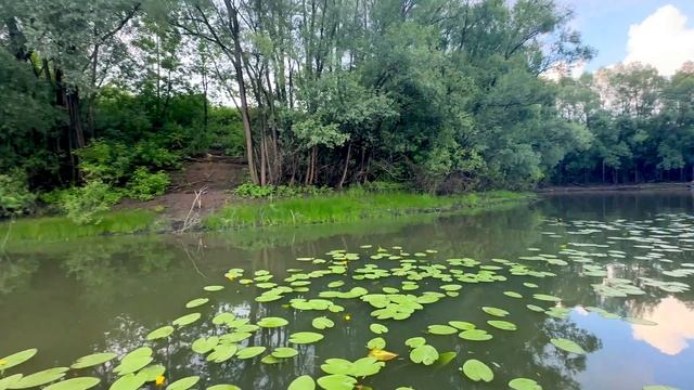 Первый и мокрый выезд на новом комплекте: Лодка Гладиатор E420X  и мотор Gladiator 9.9 (20) PRO