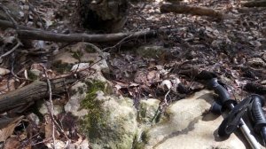 Родник Средний в ур. Борзбака