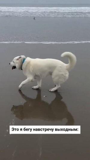 Ура, выходные!